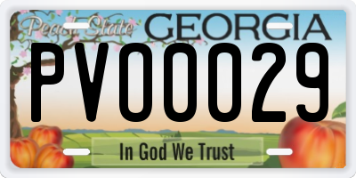 GA license plate PVO0029