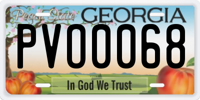 GA license plate PVO0068