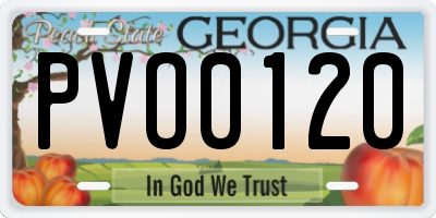 GA license plate PVO0120