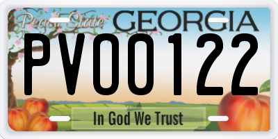 GA license plate PVO0122