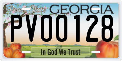 GA license plate PVO0128
