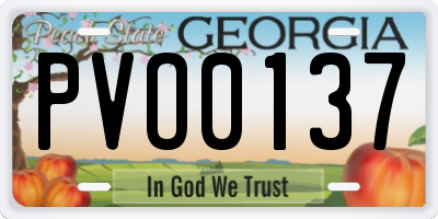 GA license plate PVO0137