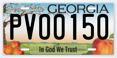 GA license plate PVO0150