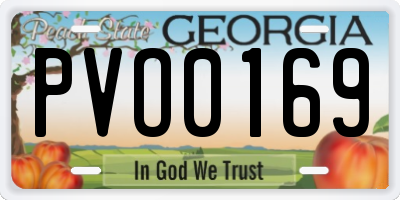 GA license plate PVO0169