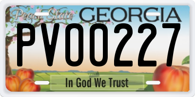 GA license plate PVO0227