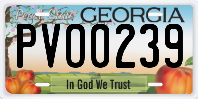 GA license plate PVO0239