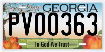 GA license plate PVO0363