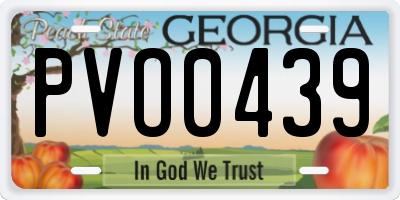 GA license plate PVO0439