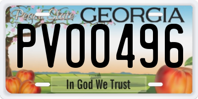 GA license plate PVO0496