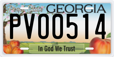 GA license plate PVO0514