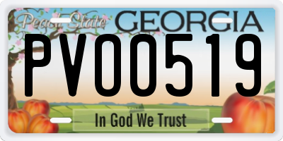 GA license plate PVO0519