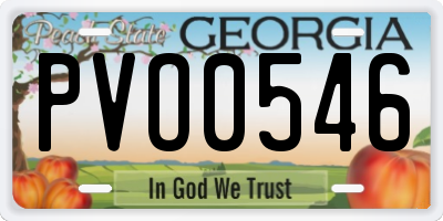 GA license plate PVO0546