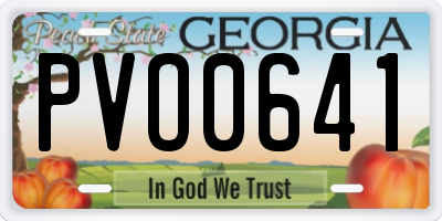 GA license plate PVO0641