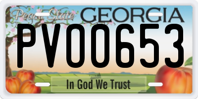 GA license plate PVO0653