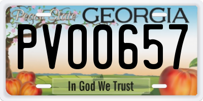 GA license plate PVO0657