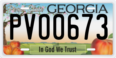 GA license plate PVO0673