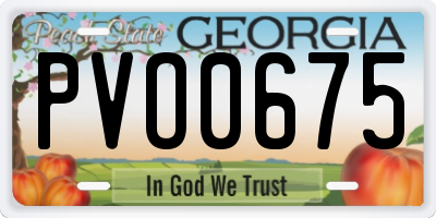 GA license plate PVO0675