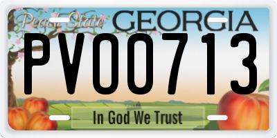 GA license plate PVO0713