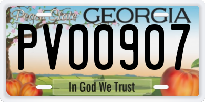 GA license plate PVO0907