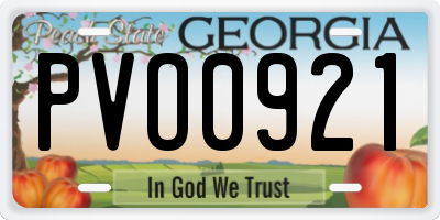 GA license plate PVO0921