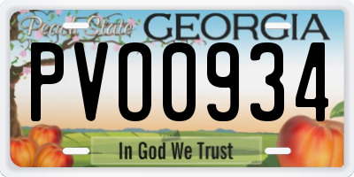GA license plate PVO0934