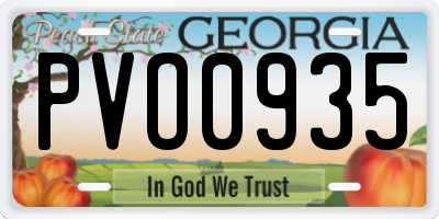 GA license plate PVO0935