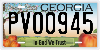 GA license plate PVO0945