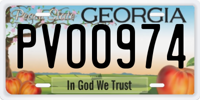GA license plate PVO0974