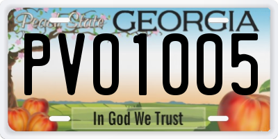GA license plate PVO1005