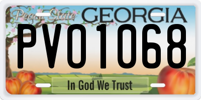 GA license plate PVO1068
