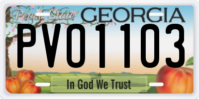 GA license plate PVO1103