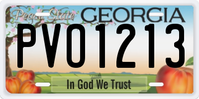 GA license plate PVO1213