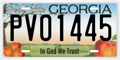 GA license plate PVO1445