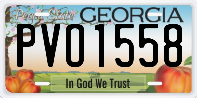 GA license plate PVO1558