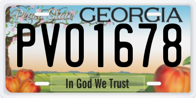 GA license plate PVO1678