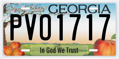 GA license plate PVO1717