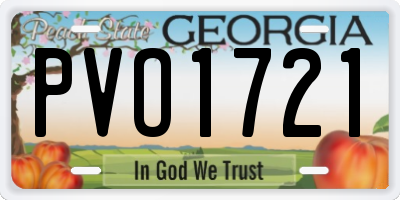 GA license plate PVO1721