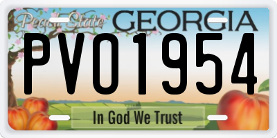 GA license plate PVO1954