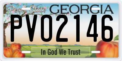 GA license plate PVO2146