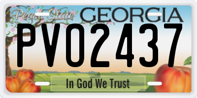 GA license plate PVO2437