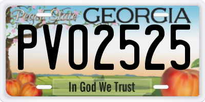 GA license plate PVO2525