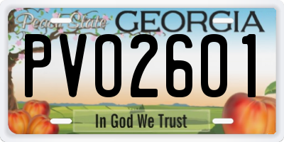 GA license plate PVO2601