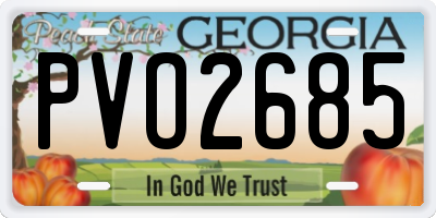 GA license plate PVO2685