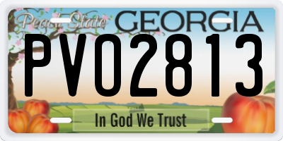 GA license plate PVO2813