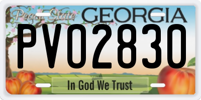 GA license plate PVO2830
