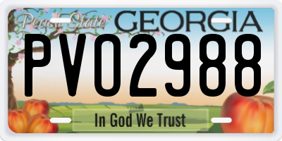 GA license plate PVO2988