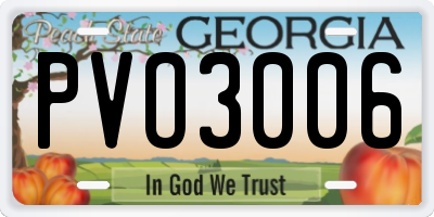 GA license plate PVO3006