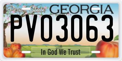 GA license plate PVO3063