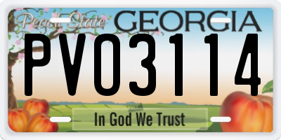 GA license plate PVO3114