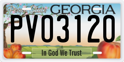 GA license plate PVO3120
